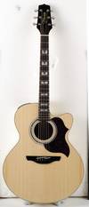 GIT276_cuts_takamine.jpg